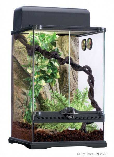 Exo Terra Rainforest Habitat Kit